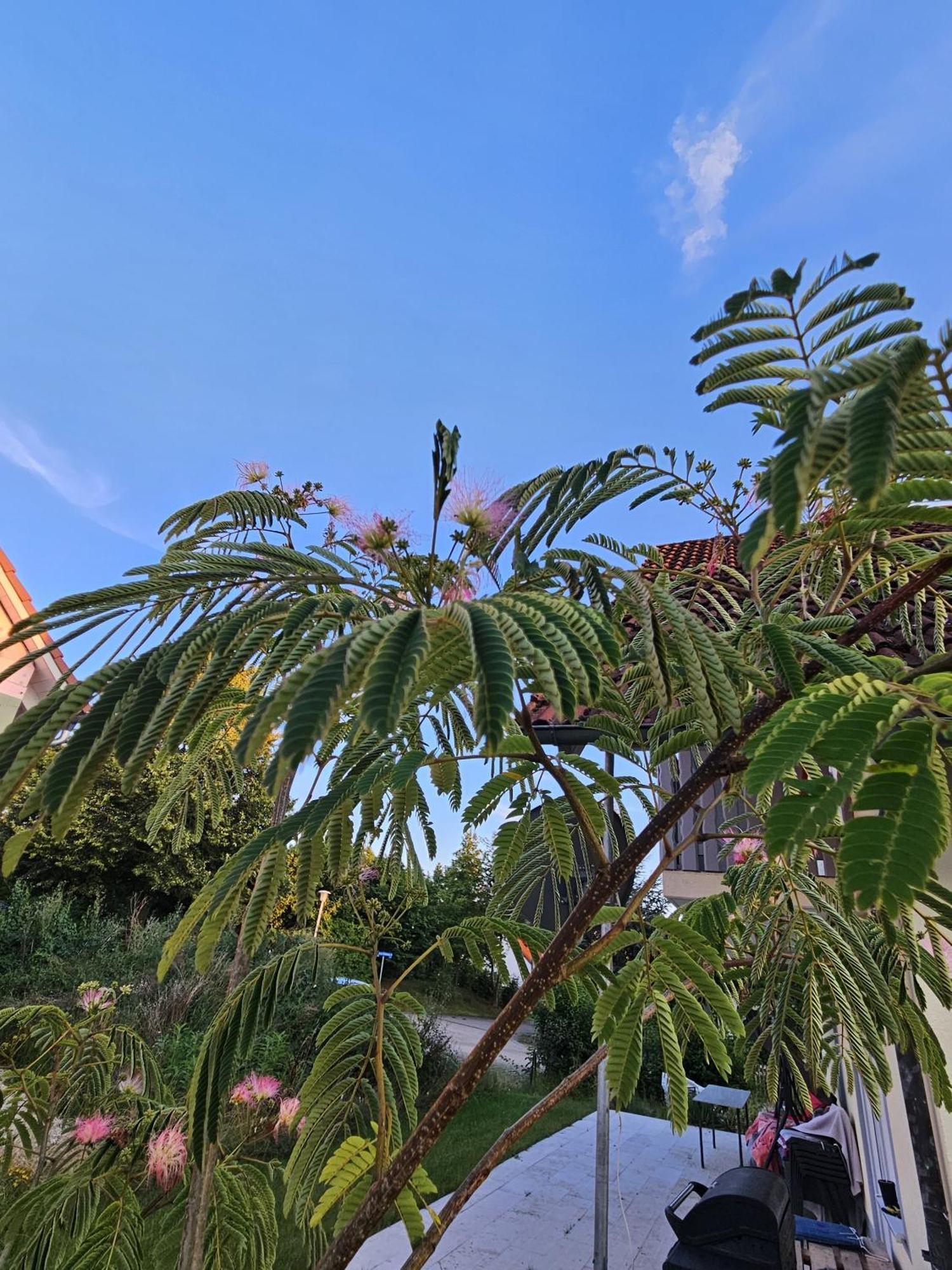 Ferienwohnung Auszeit Solnhofen Esterno foto